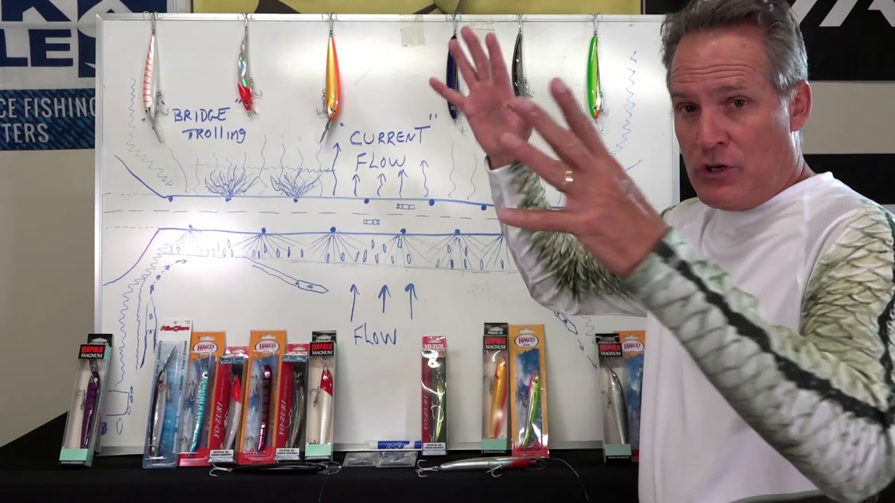 How to Nighttime Snook Fish