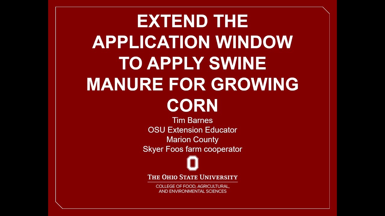 Applying Swine Manure on Emerged Corn provides efficient use of Nutrients