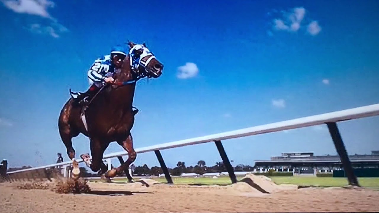 Horse Fanfare, 