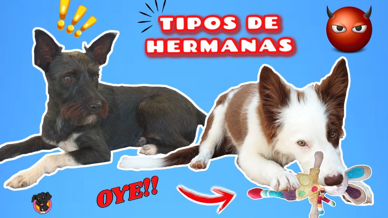 TIPOS DE HERMANAS / Lana y Mel
