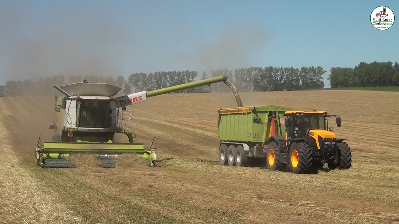 Grassamen Ernte mit Containerabfuhr und Einlagerung - Multi Agrar Claußnitz GmbH, JCB, Claas