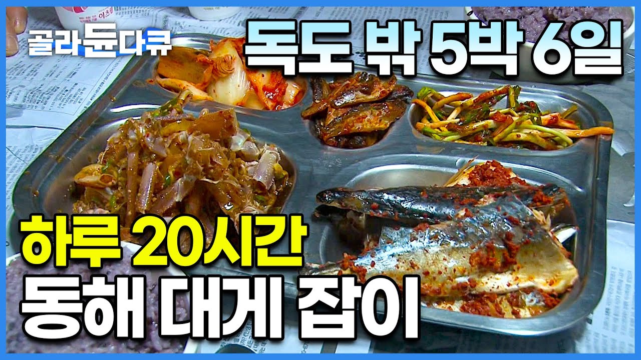 한국의 동해바다에 서식하는 대게 잡으러 멀리 더 멀리! 독도 밖 한일 중간수역에서 5박 6일 대게 잡이 현장│어획량 줄어들수록 지켜야 할 바다의 법칙│극한직업│#골라듄다큐