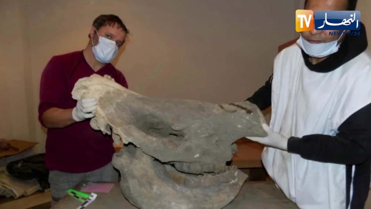 الجلفة / نقوش صخرية لعصور ماقبل التاريخ بحاجة لترويج سياحي بمنطقة زكار