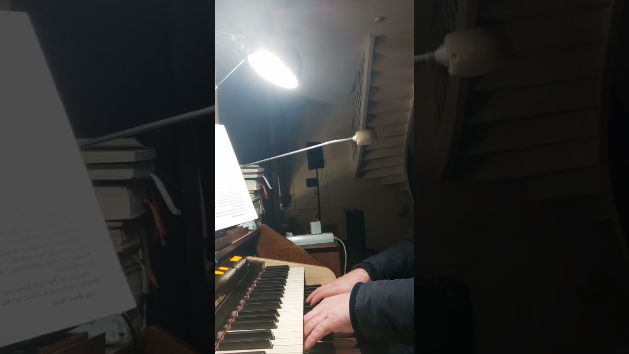 Organy viscount cantorum duo - Pieśń  Maryjna.