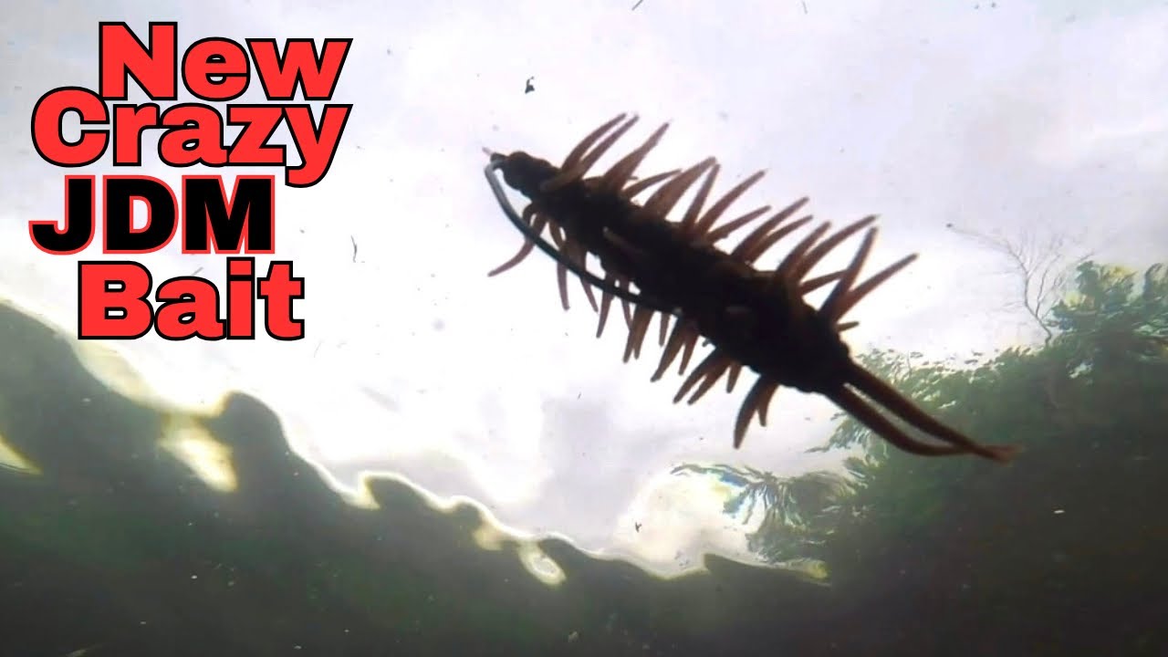 NEW JAPANESE BAIT THE HIDEUP COIKE SHRIMP EXTRA LARGE
