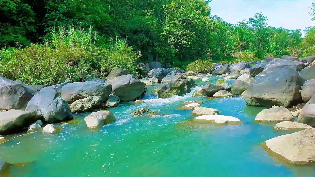 Tranquil River Sounds | Forest River Stream for Deep Peace & Serenity