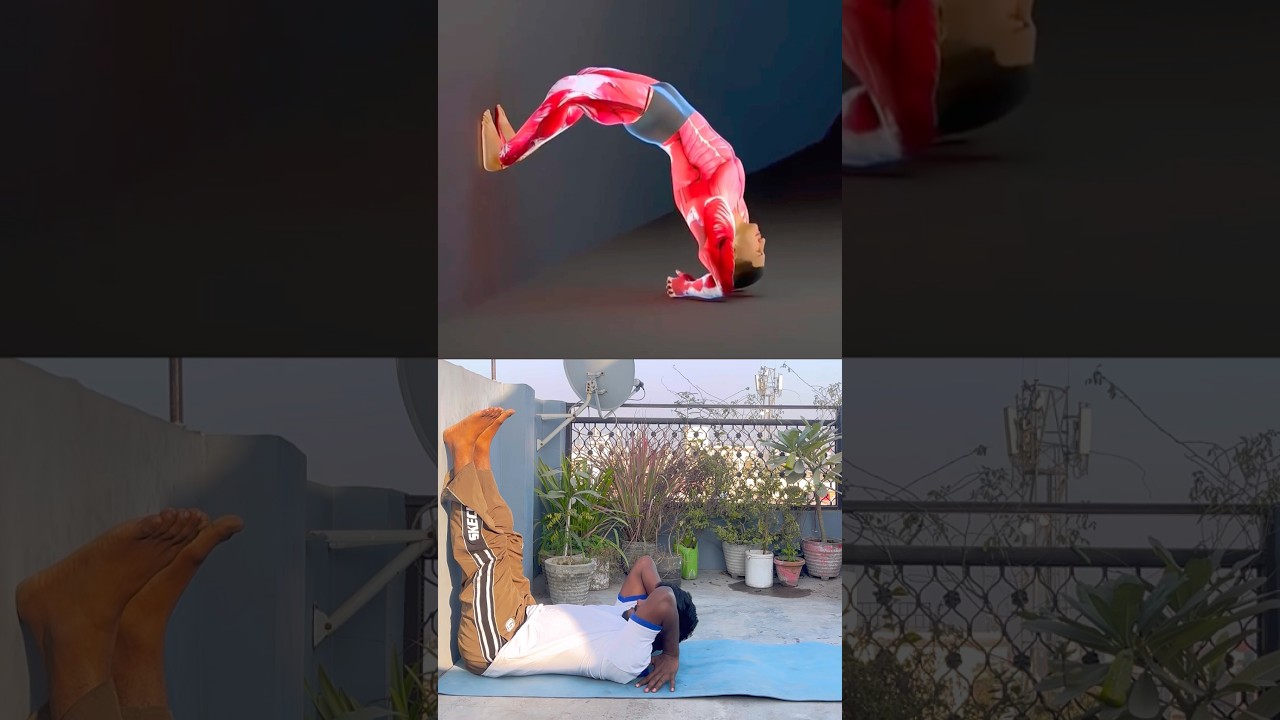 How to wall-assisted bridge in a few steps 