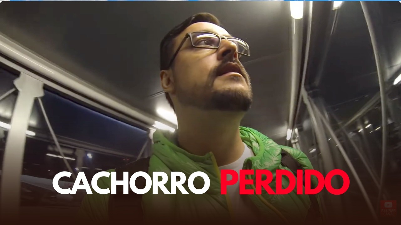 Embarcando e chegando em MADRI | Perderam meu cachorro no AEROPORTO! 😱