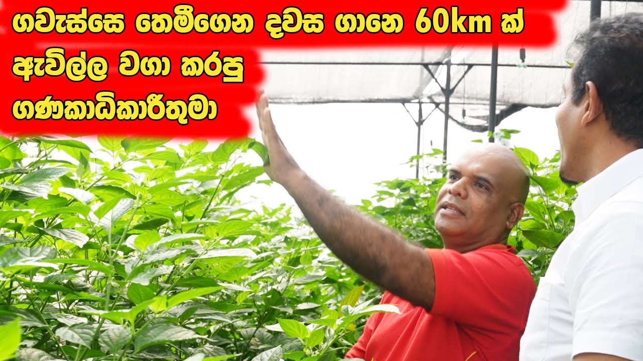 ලක්ෂ ගානෙන් සල්ලි මවන්න මොනවද හොදම Investments? බැංකුවෙ සල්ලි දාන්නද?