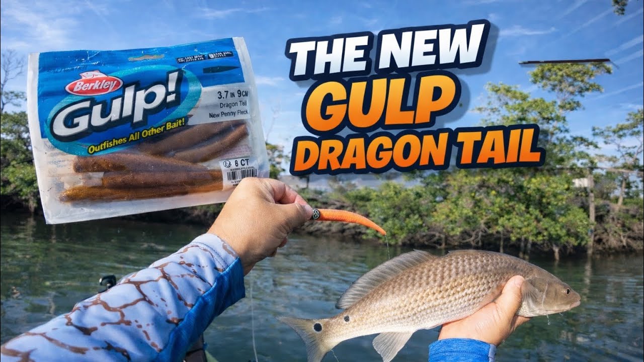  Can I Catch Fish Before the Wind Takes Over? | Gulp Dragon Tail | Fishing In My Hobie Compass 
