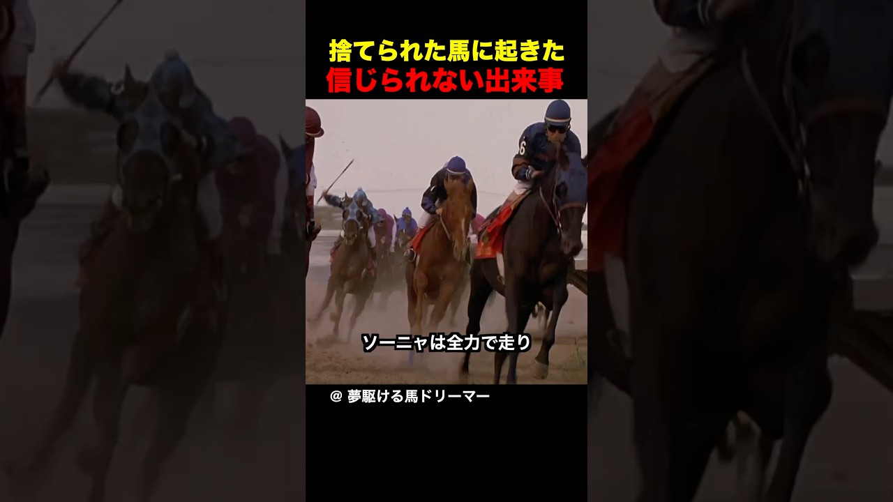捨てられた馬に起きた信じられない出来事