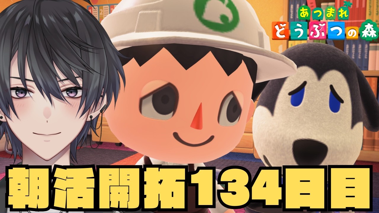 【あつ森】134日目のあつ森朝活配信【あつまれどうぶつの森】