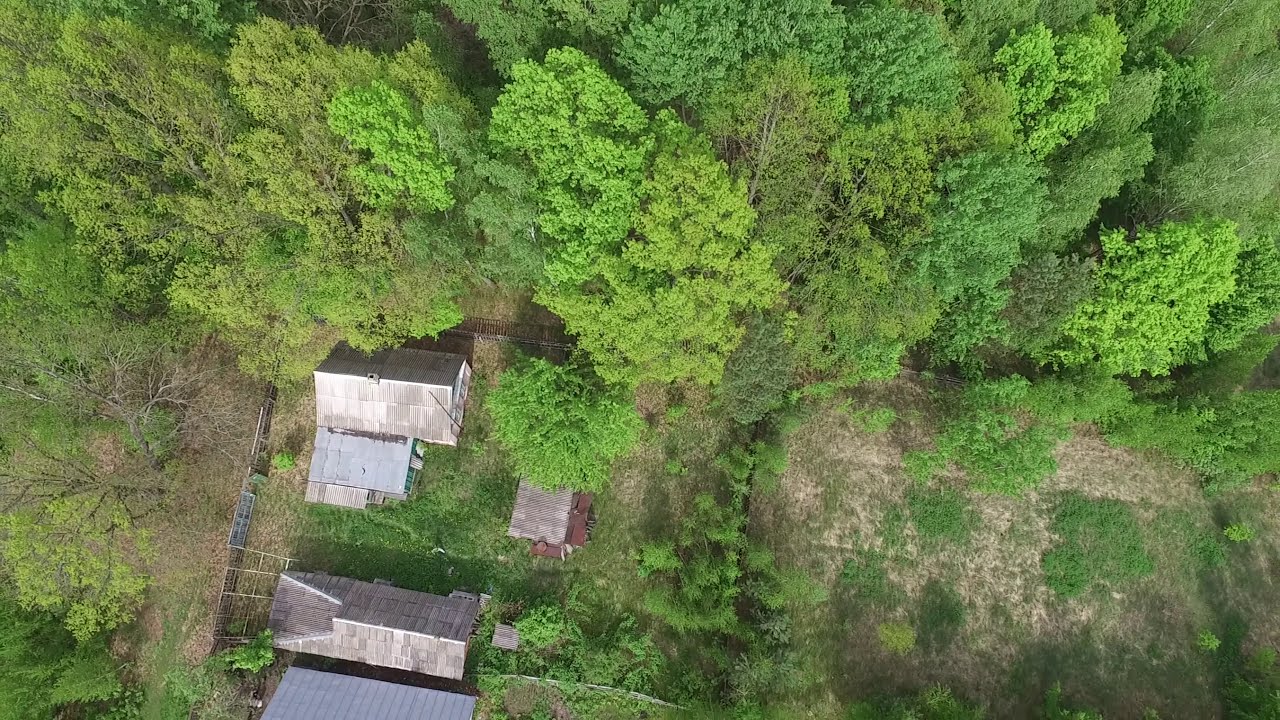 Купить дом у леса, у озера, на Голубых озёрах. Село Олешня.