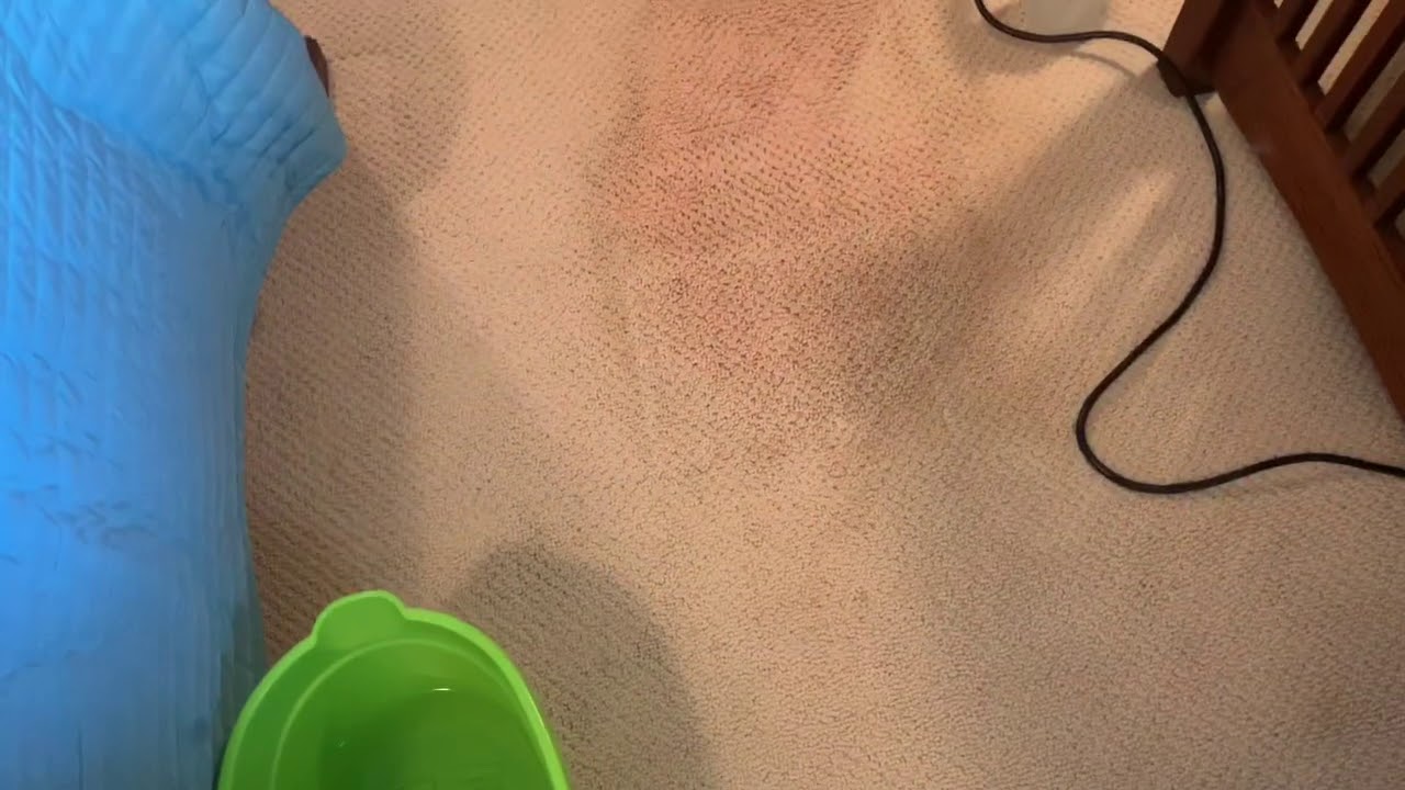 Red dye removal with Ammonia. #carpettime.