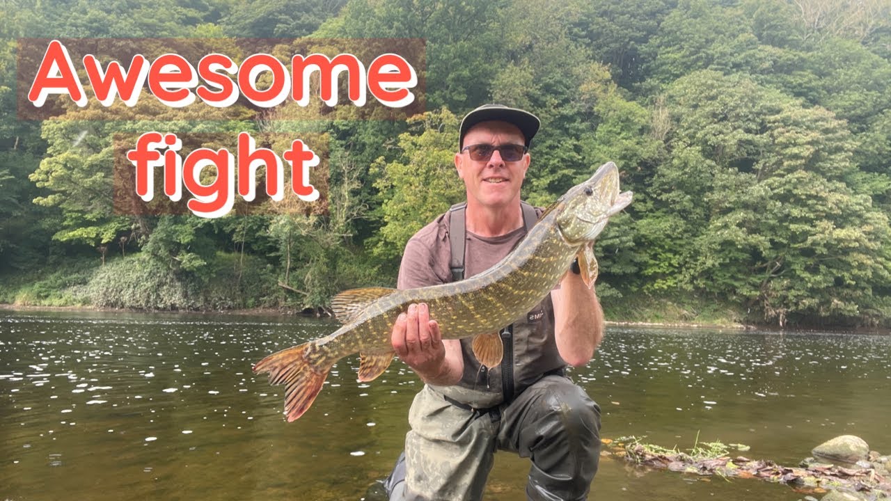Tenryu Rays Spectra RZS71ML and Diawa Exist vrs large Pike