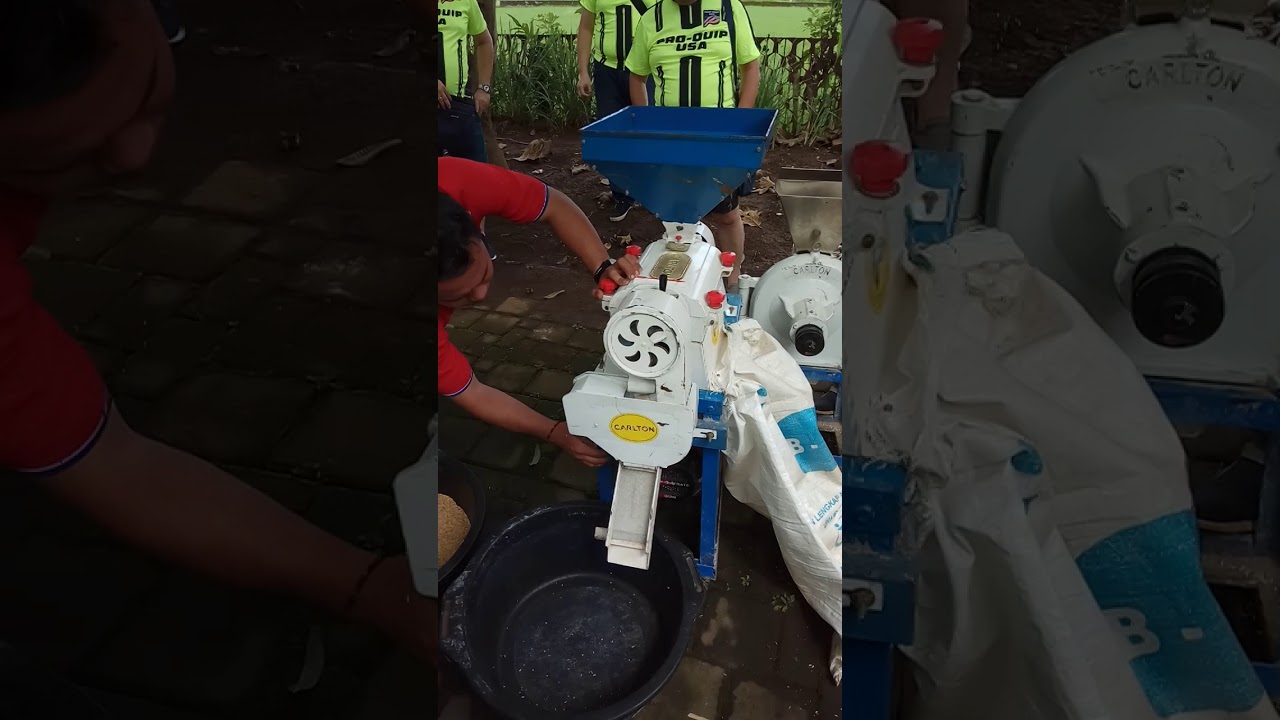Demo penggiling gabah/selep padi mini Carlton
