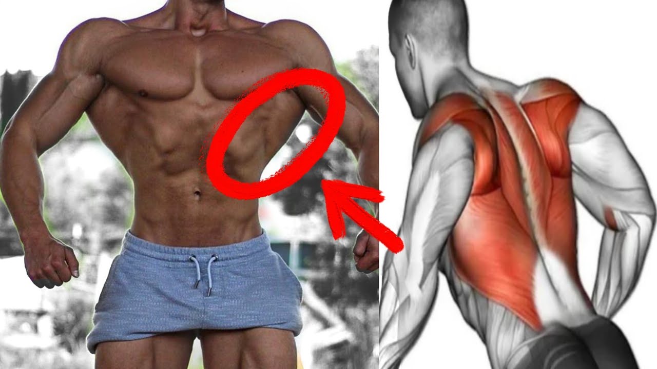 أقوى تمارين الظهر - 10 أنواع كمال الأجسام - back workout