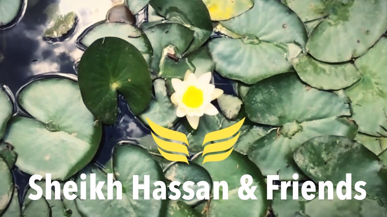 Sheikh Hassan & Friends - Train of the friends  #HassanDyck