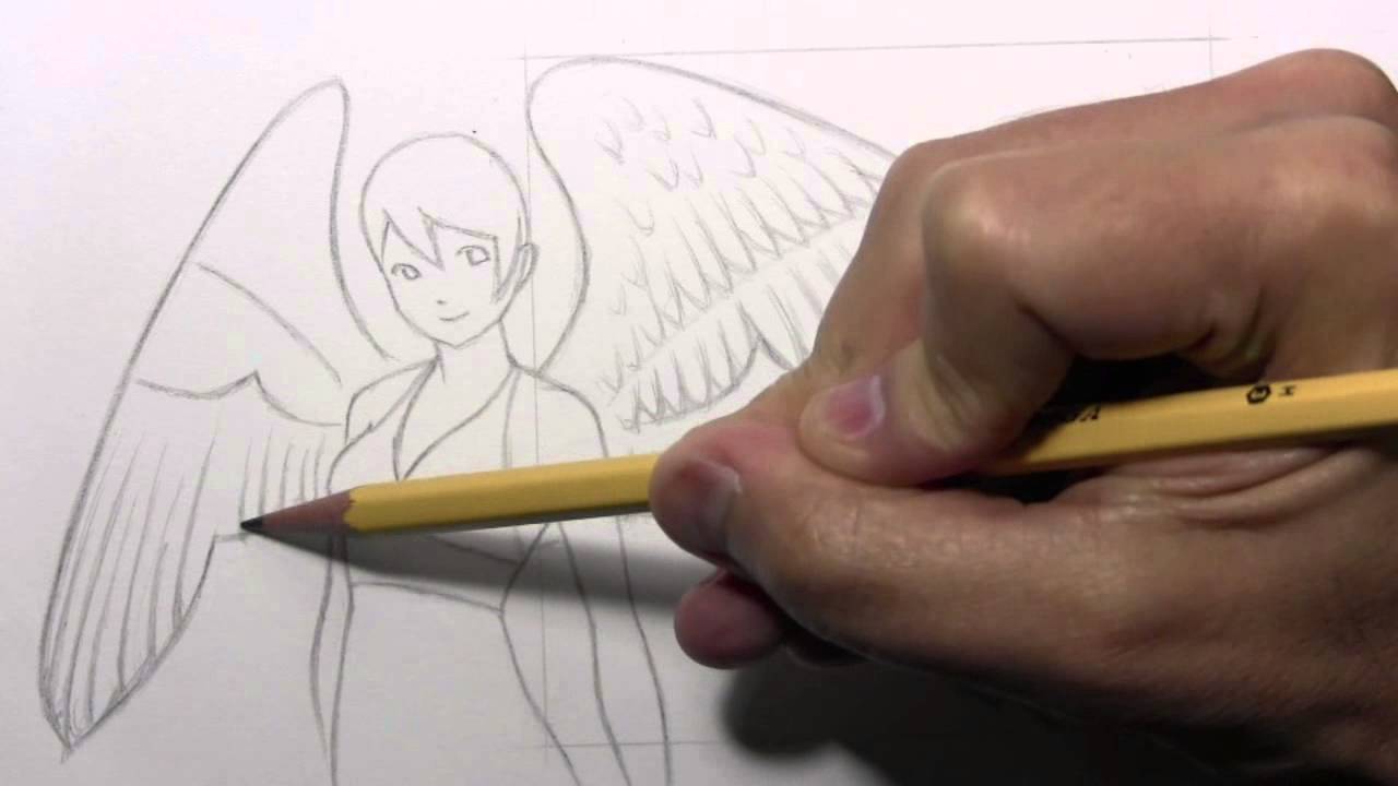 Drawing Time Lapse: Wings