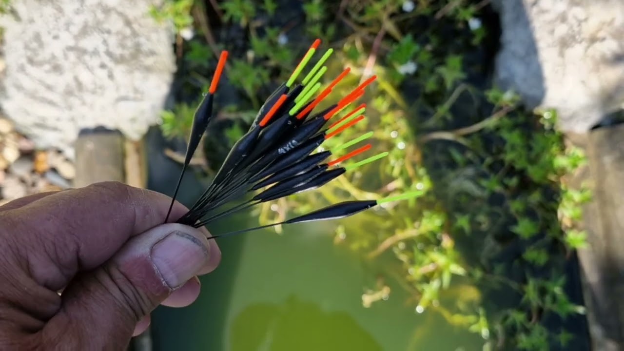 The Carbon London Seed With 1mm Tips