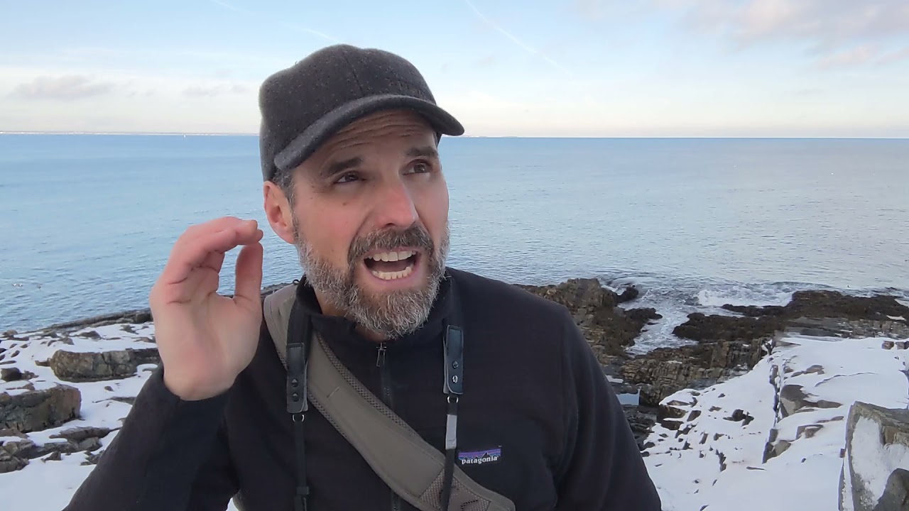 Harlequin Duck - Learn a Bird - Episode #37