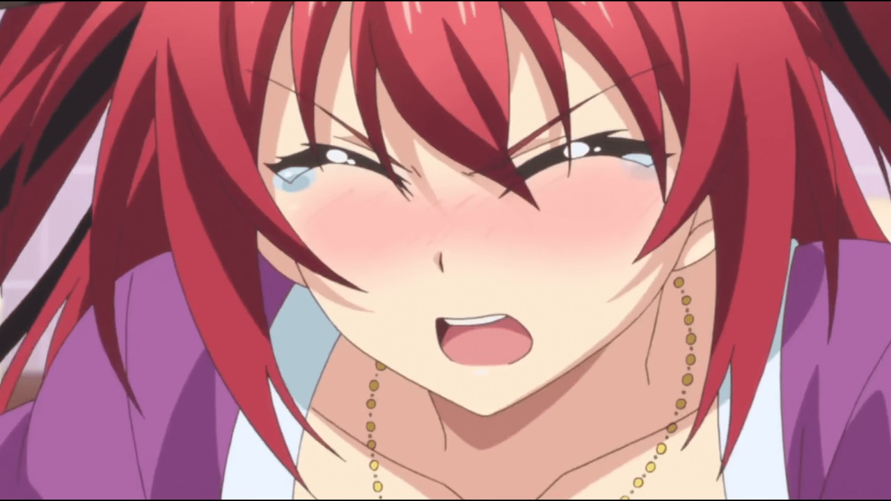 Top 10 Ecchi Anime That Pushed the Limits