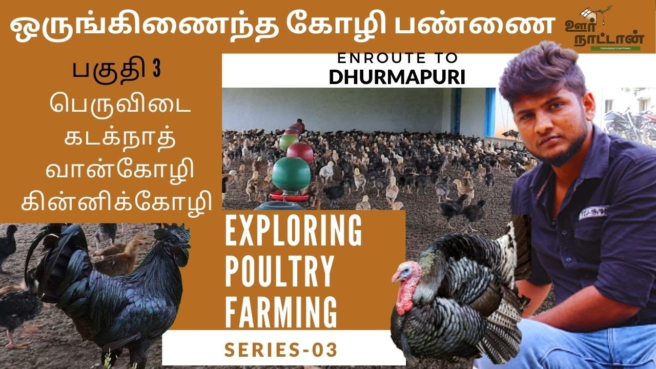 எல்லா வகை கோழி குஞ்சுகளும் ஒரே இடத்தில் | Dharmapuri Farm #03 | Oor Naattan