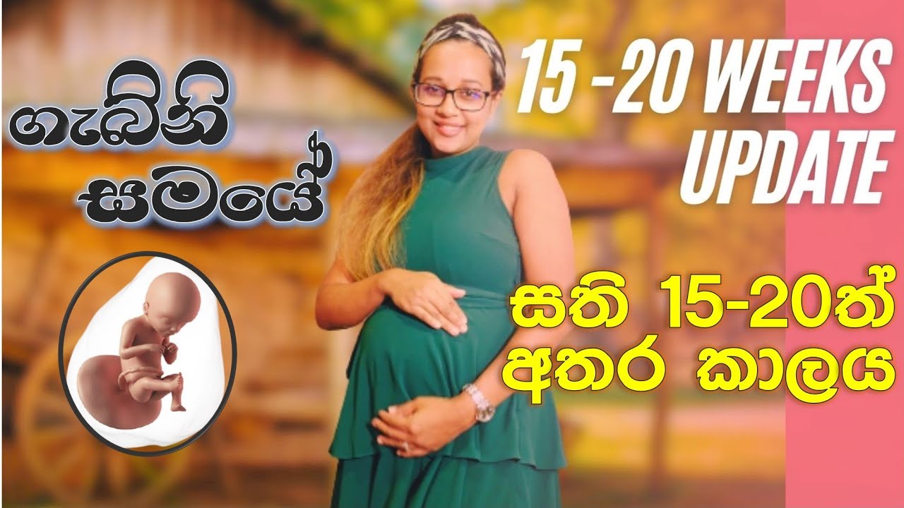 සති 15 - 20 අතර කාලය හා වෛද්‍ය හමුව | 15 - 20 Weeks Update & Scan