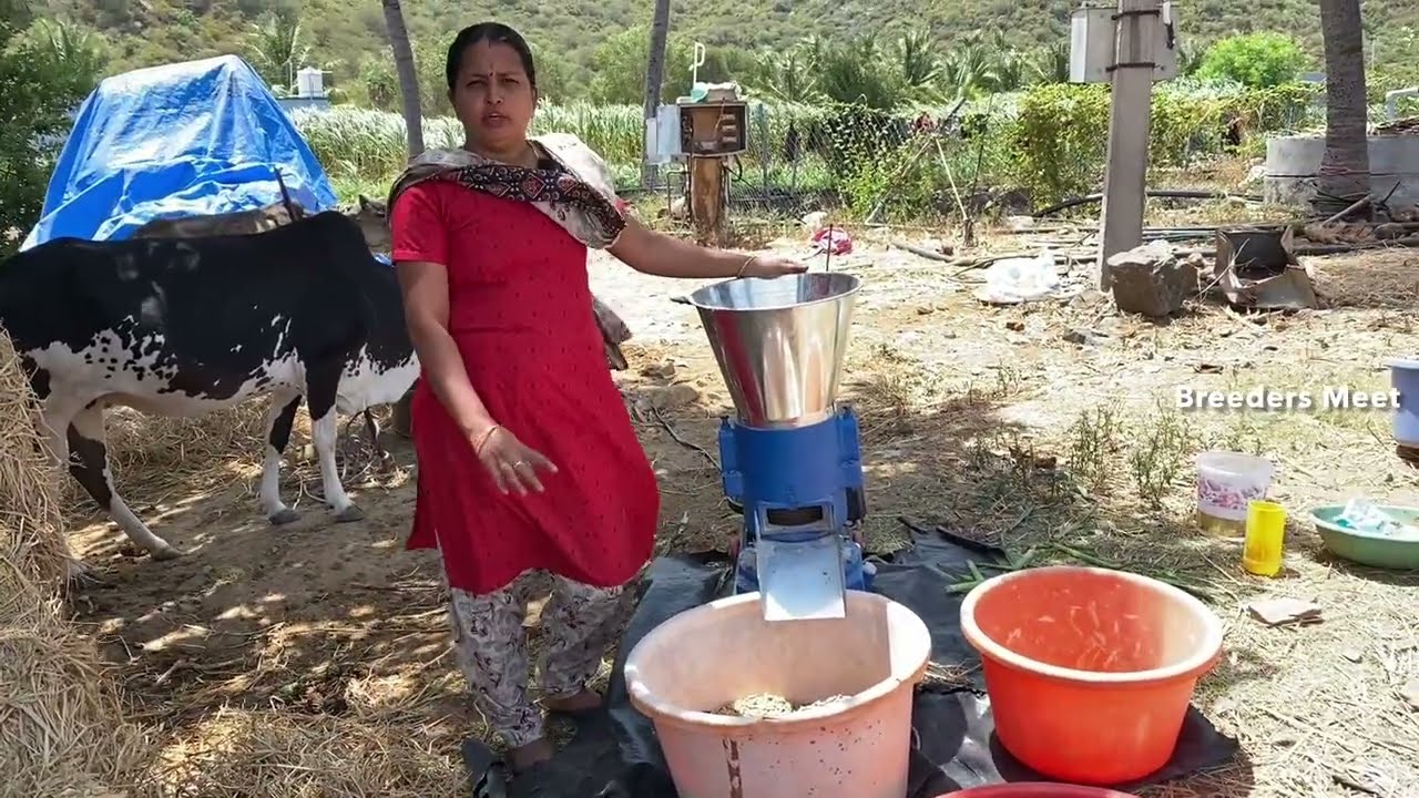 👉 This Machine Makes 300 KG Cattle Feed Every Hour! | Dairy Farm