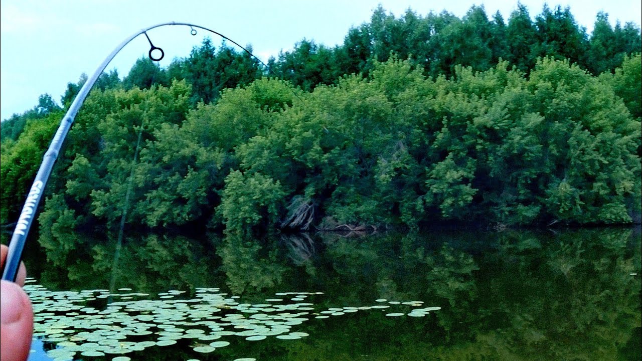 Крупняк прёт в заросли! Мормышинг на малой реке. Плотва. Карась. #мормышинг