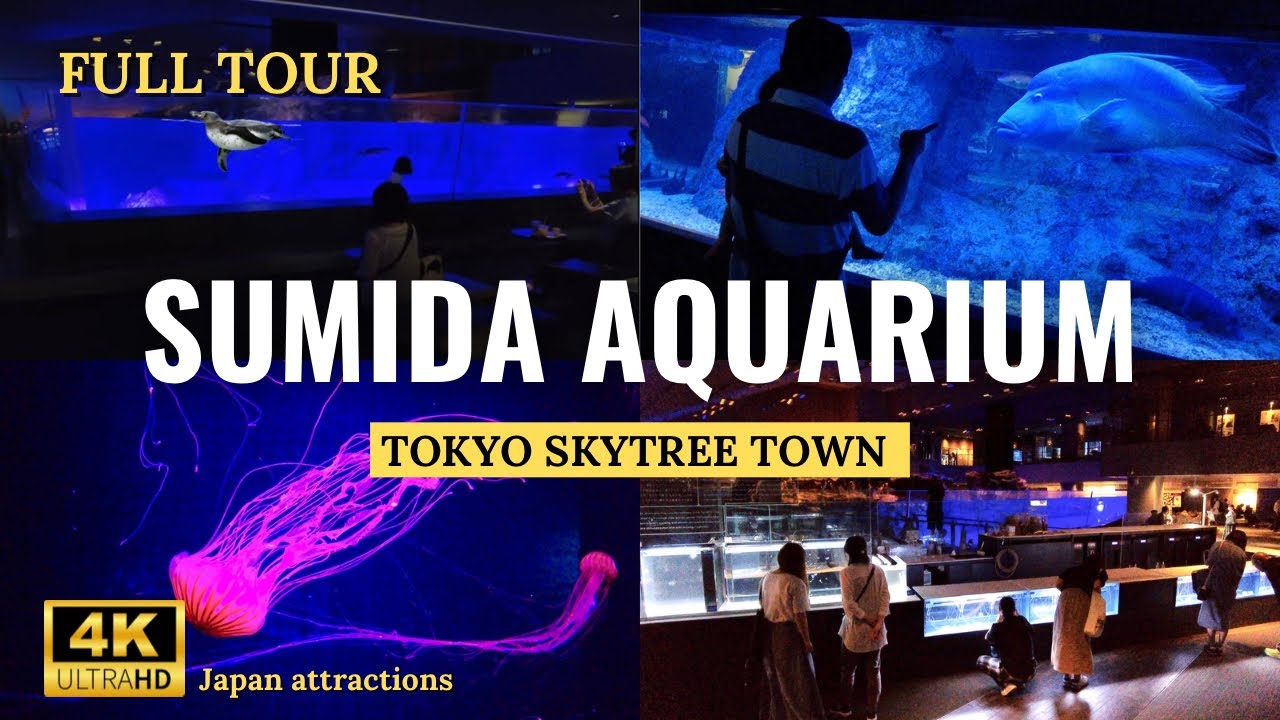 SPECTACULAR Aquascape Aquariums at SUMIDA AQUARIUM Full Tour in Tokyo SKYTREE  | 4K HDR | Japan Walk