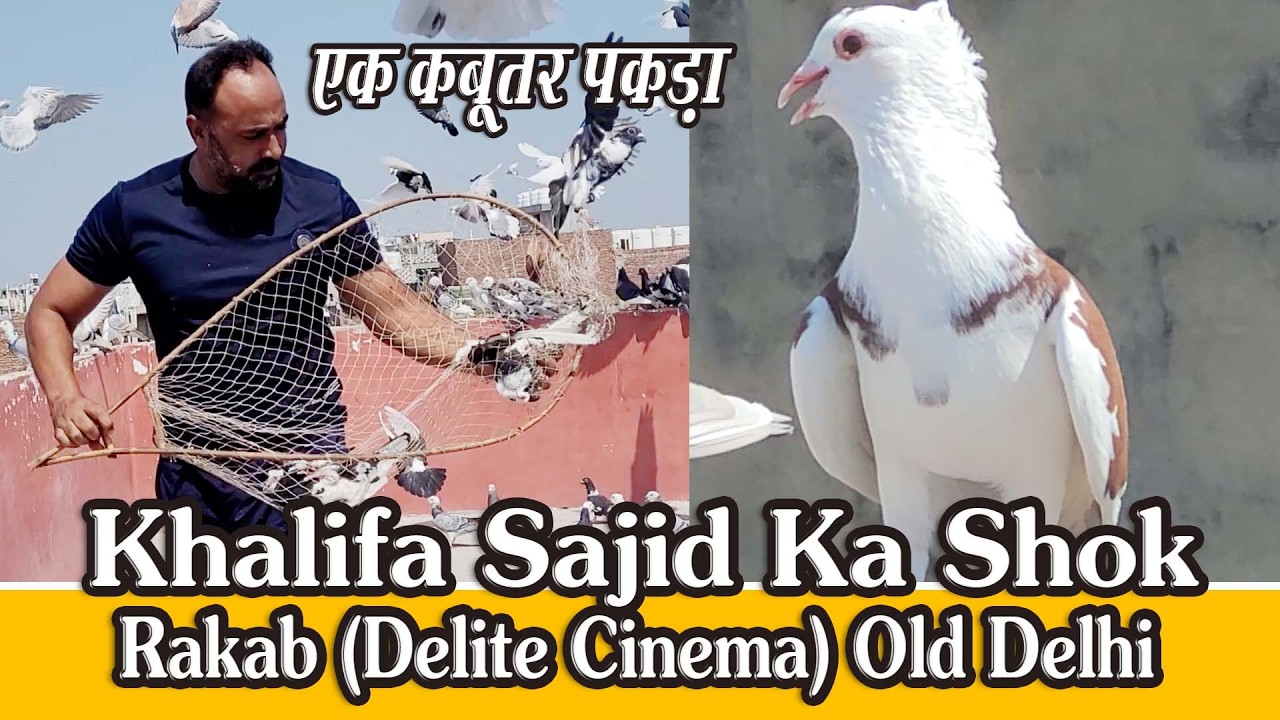 Rakab Se Khalifa Sajid Ka Shok, Ustad Haji Danish Elahi Talim