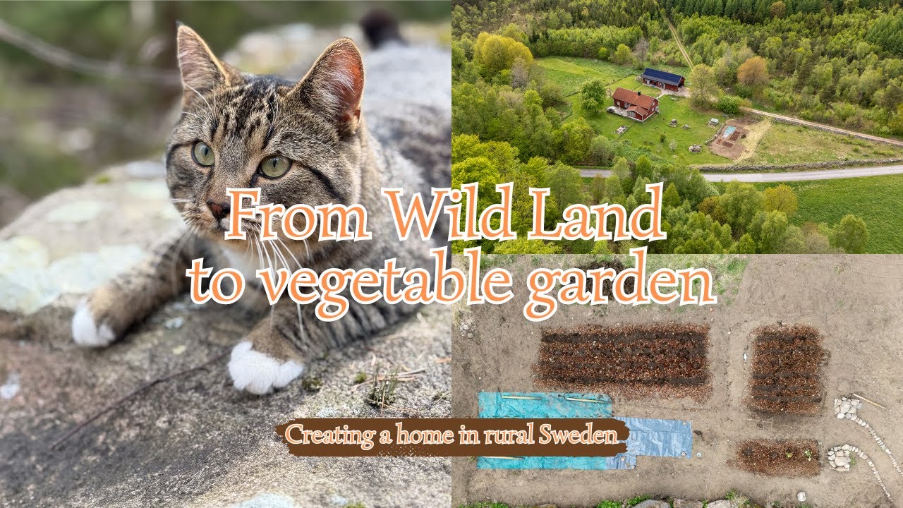 Rainy Days & Homemade Bread in the Countryside | Turns abandoned land into a vegetable garden