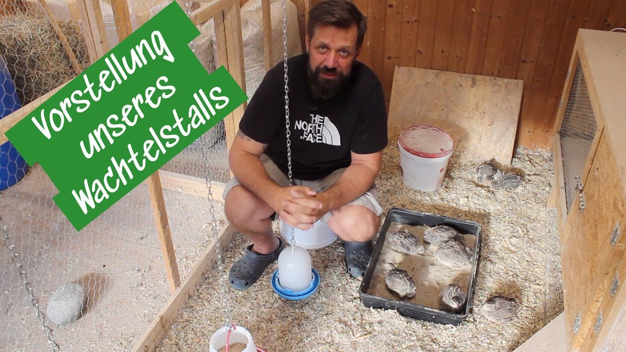 Vorstellung unseres Wachtelstalls