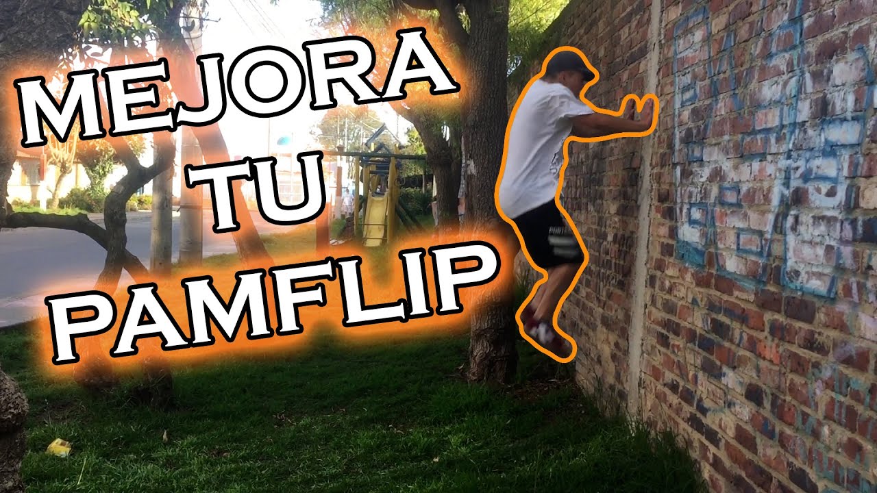 &iquest;C&oacute;mo mejorar mi PALMFLIP? Tutorial Express, TIPS SENCILLOS
