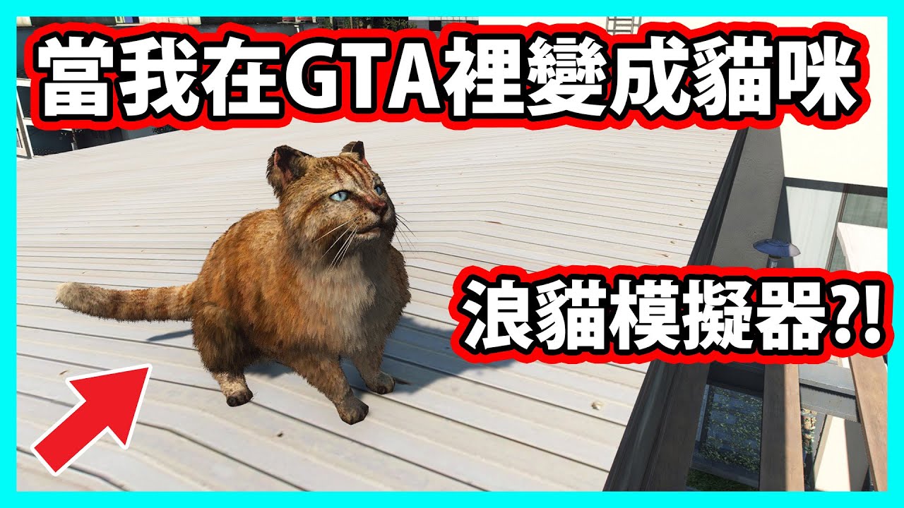 【阿航】當我在GTA5裡變成貓咪? 這才是浪貓模擬器!! (GTA5 MOD)