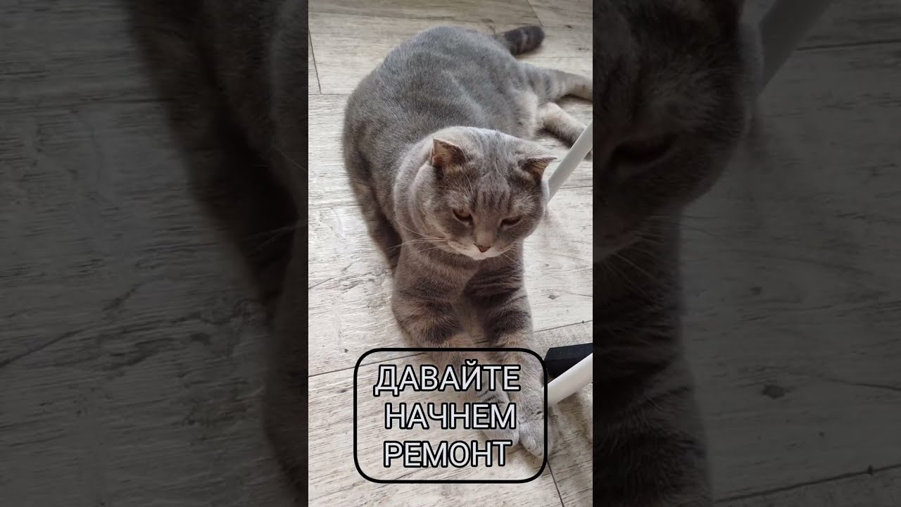 ⚡ПЕРВЫЙ РАЗ В ЖИЗНИ ДЕЛАЮ РЕМОНТ ⚡||ЗАЛИПЛА 🔥#ремонт_своими_руками #ремонтквартиры 