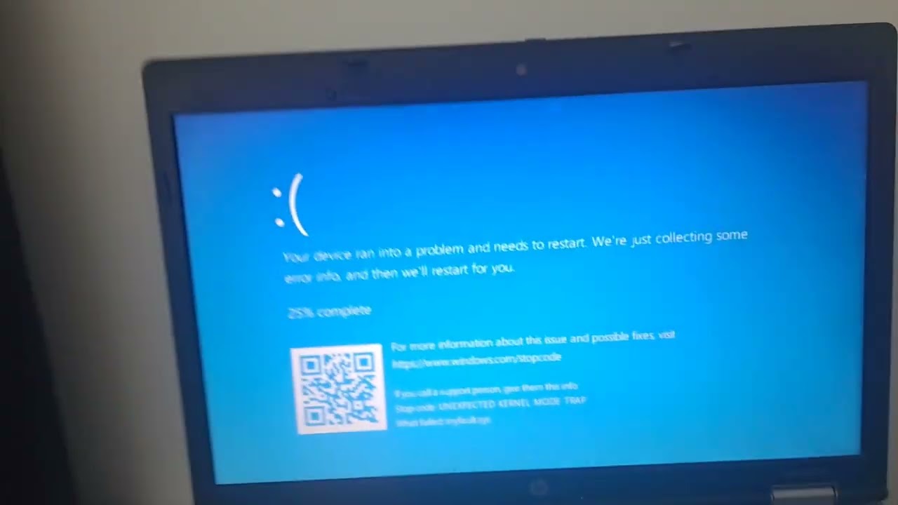 Open the Damn Door Remake (Tal_on Meme) has BSOD (Tiny10)
