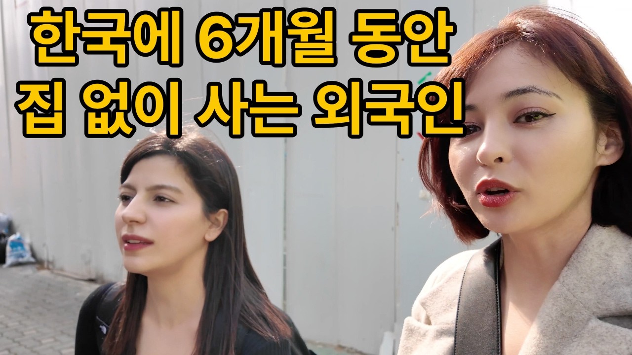 [4K] 서울 집값 비싸 노숙자를 선택한 외국 여자
