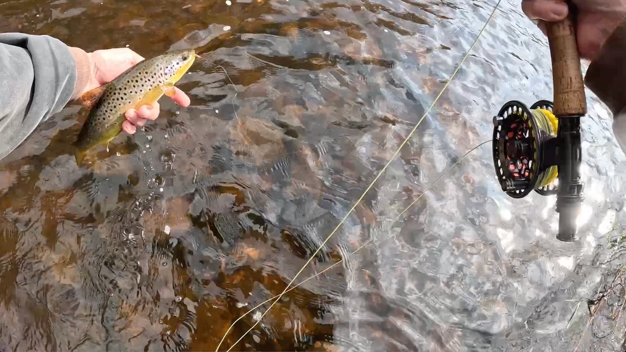 First Day Fly Fishing on the River  Doon 2026