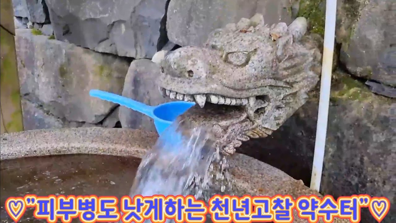 #피부병도 낫게한다는 신비한 고찰 약수터 #창원고찰 우곡사 #500년 수령 은행나무