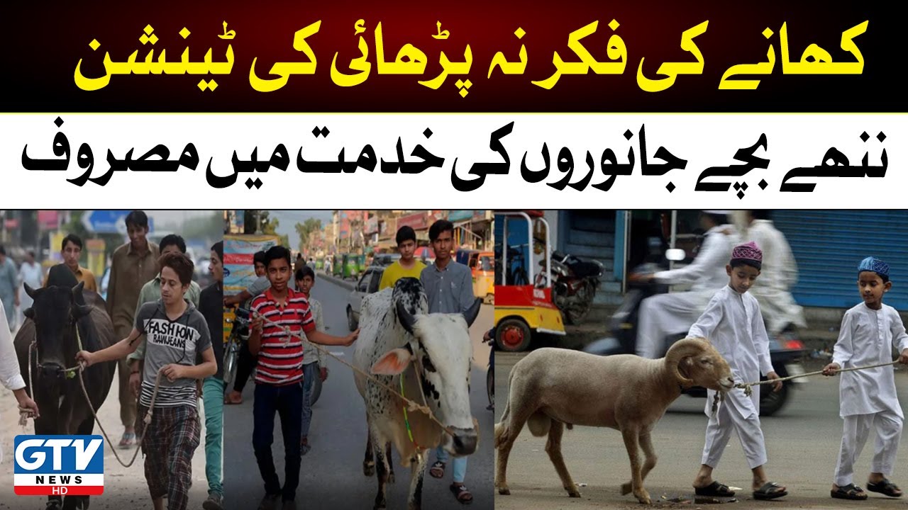 Eid ul Adha 2023 | Kids Having Fun With Animals | Bakra Eid Celebrations | GTV News