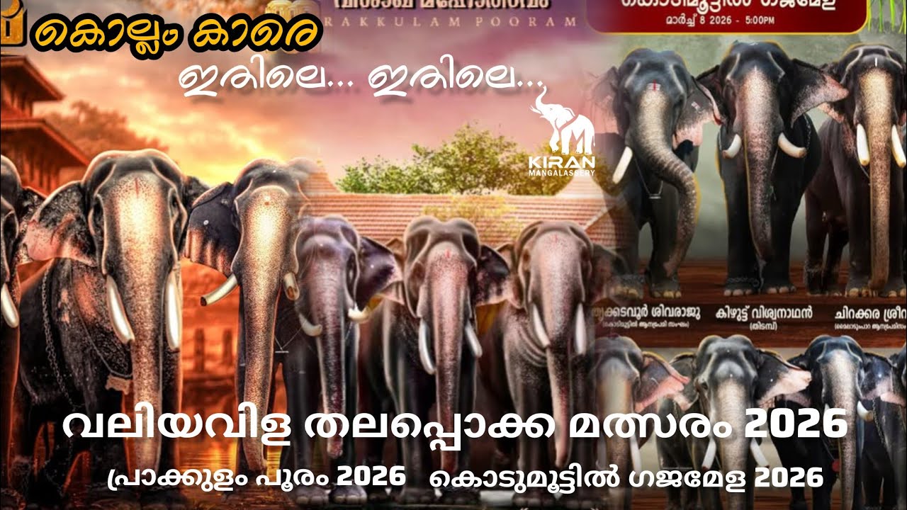 കൊല്ലം ജില്ലയിലെ മൂന്ന് ഉത്സവങ്ങൾ അണിനിരക്കുന്ന ഗജവീരന്മാർ|പ്രാക്കുളം പൂരം|വലിയവിള തലപ്പൊക്ക മത്സരം 