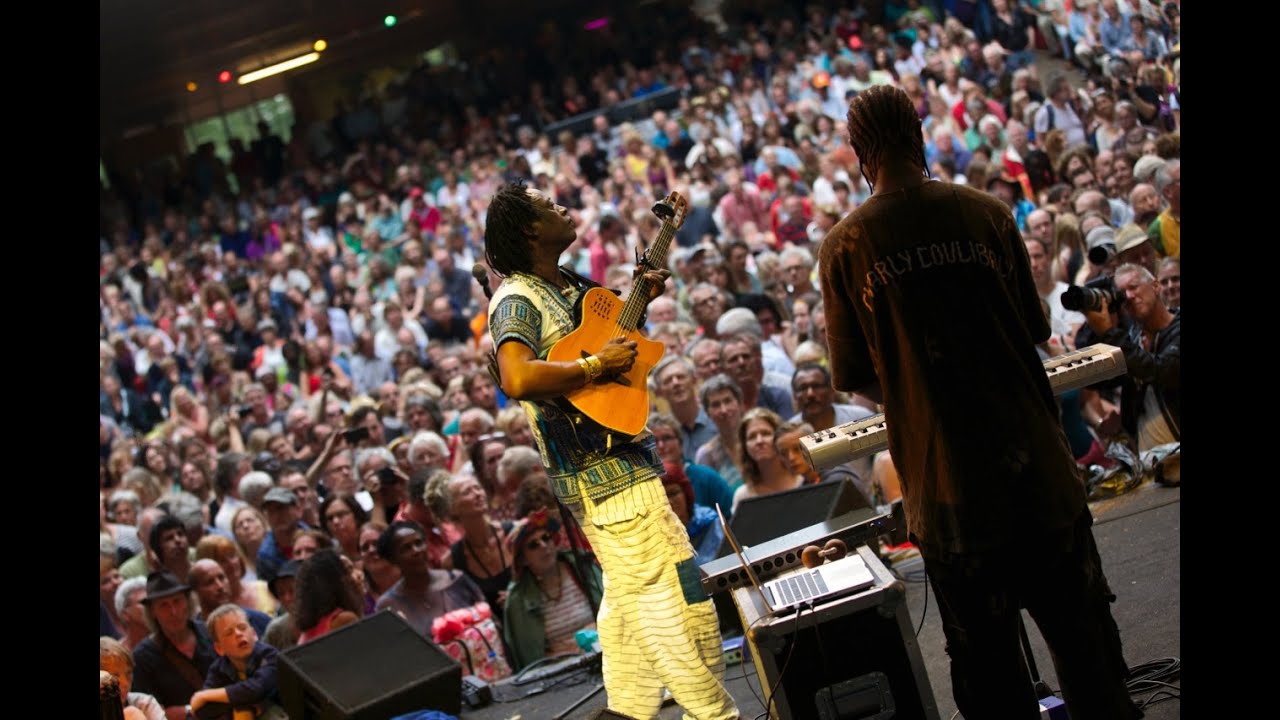 Habib Koité - 9 - LIVE at Afrikafestival Hertme 2014