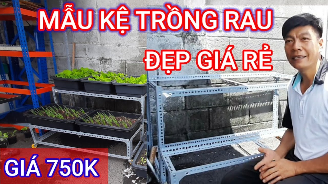 Nhã Trân Chia Sẻ Chi Tiếc Kệ Trồng Rau 5 Tầng Giá 750K Ai Cũng Muốn Sở Hữu