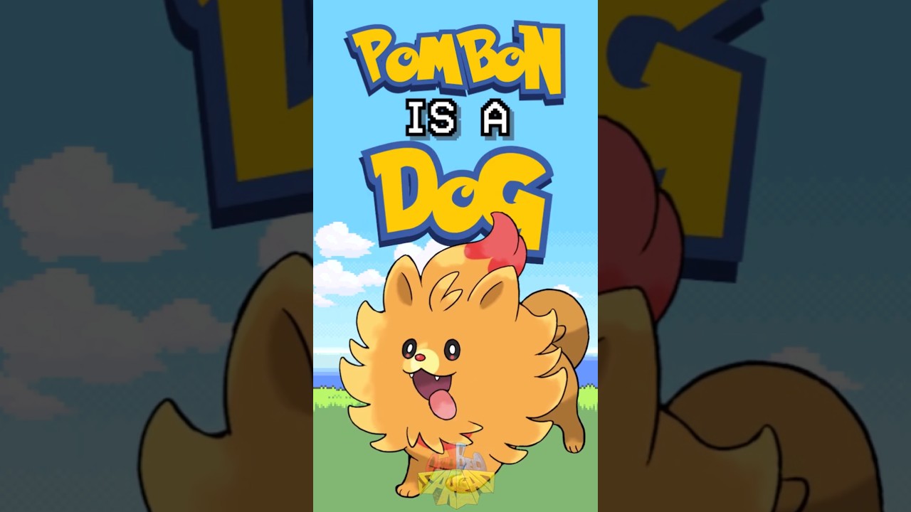 POMBON is a DOG