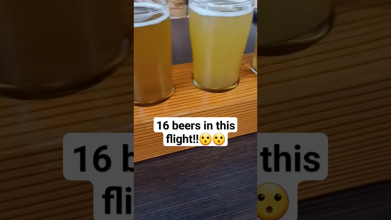 16 beers in this HUGE flight at Dead Frog Brewery!! 🍻🍻 #craftbeer