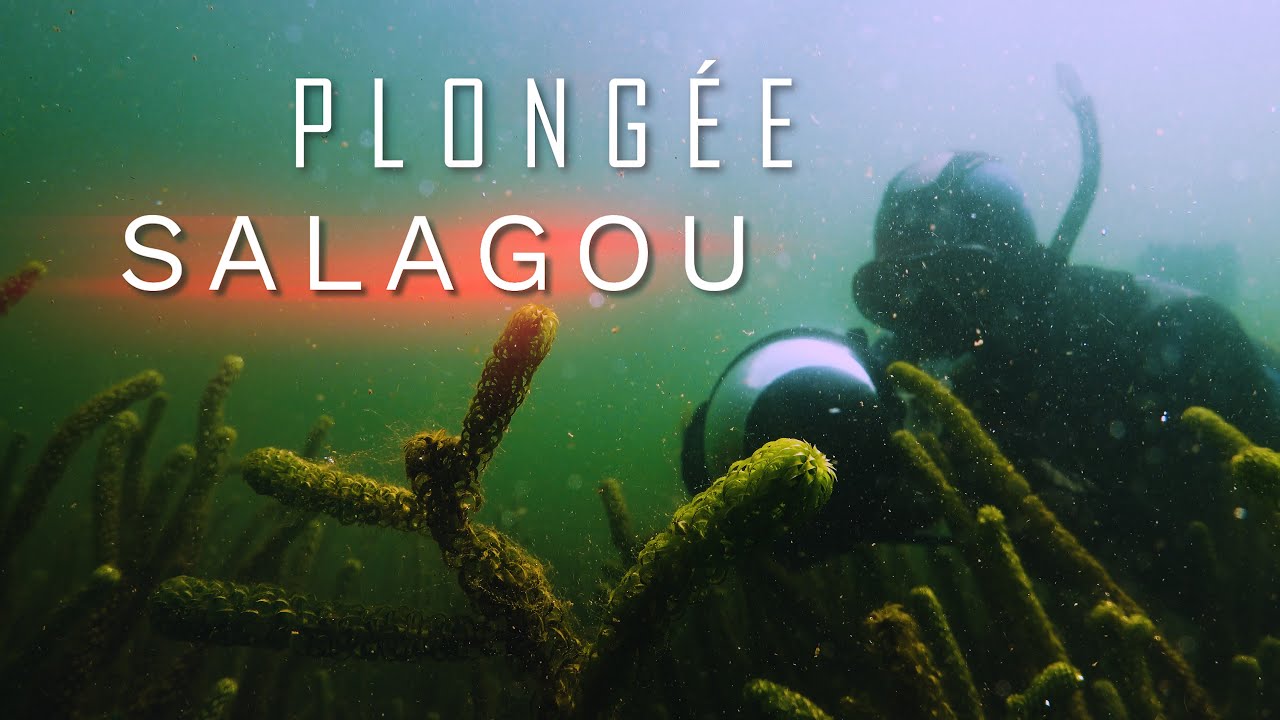 IMMERSION SALAGOU - Plongez au coeur du lac