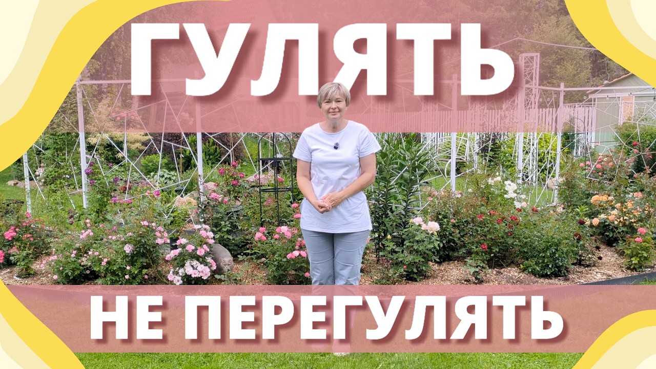 ПРОДОЛЖЕНИЕ ПРОГУЛКИ ПО РОЗОВОМУ САДУ. Гулять не перегулять😁🌹
