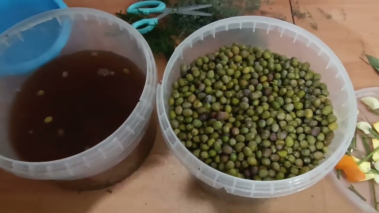 Cómo Aliñar Aceitunas Arbequinas  🫒 | @Elñapas